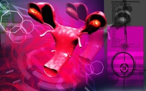 12745737_s